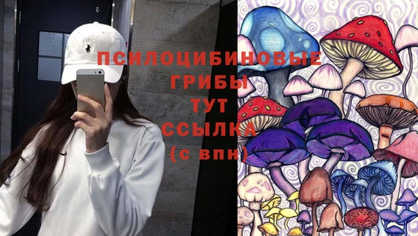 2c-b Алексеевка