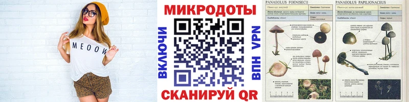 Псилоцибиновые грибы прущие грибы  Морозовск 