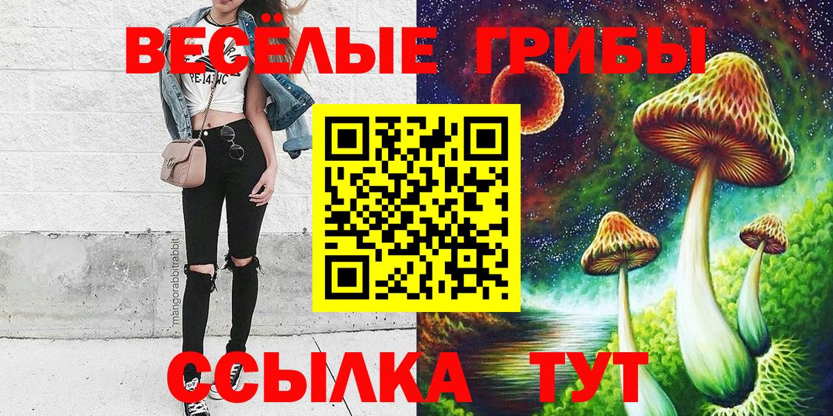 Галлюциногенные грибы Psilocybine cubensis Морозовск